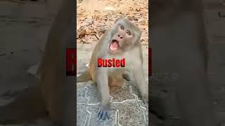 Funny Baby Eating Fruits 😂 | Cute Baby Comedy Shorts 2025 | Monkey Reaction