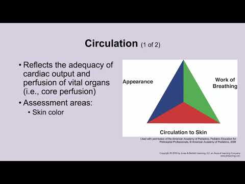 Pediatric Assessment