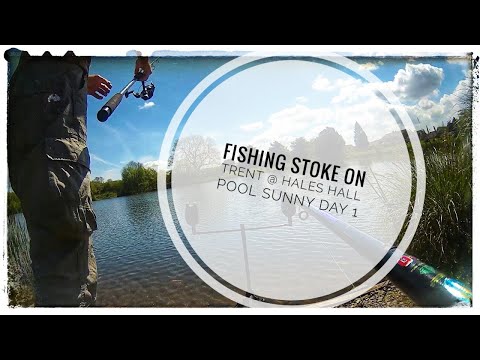 fishing stoke on trent @ hales hall pool sunny day 1