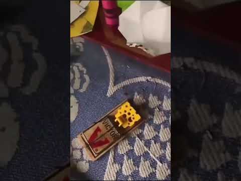 You know you shouldn't play with that.