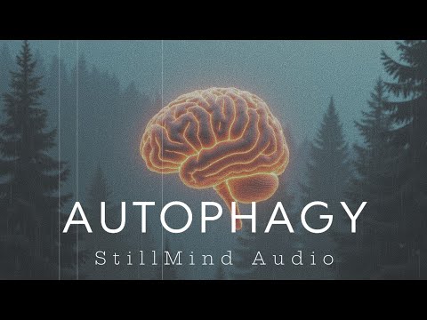 Temporal Focus Protocol: 30 Minute Beta Entrainment with Precision Audio Cues
