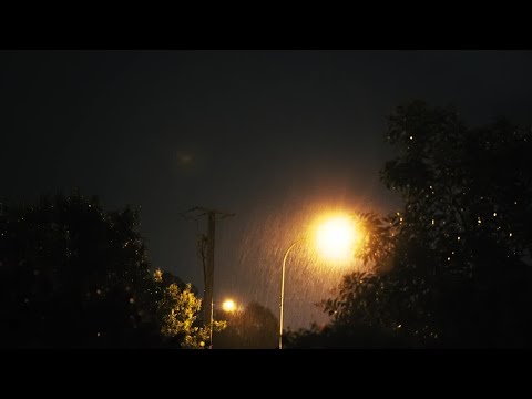 LIVE - Gentle Night Rain 10 HOURS - Sleep, Insomnia, Meditation, Relaxing, Study, Reduce Stress