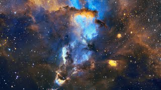 2022 — Year in Search