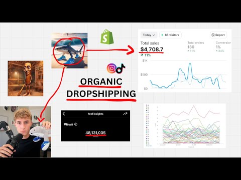 $42,791 dropshipping brainrot products - just copy me
