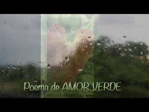 AMOR VERDE