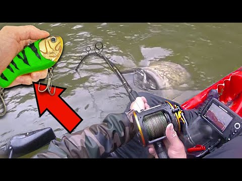 HUGE CATFISH WITH A FLATT SHAD! BEST-OF : 4 AMAZING MOMENTS!