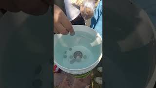 Under water Coin Challenge 🤨😳 #shorts #trending #viral