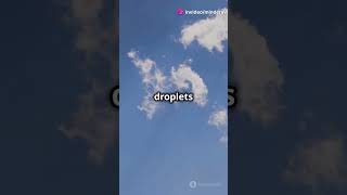 How Do Clouds Form? #science #shorts #clouds