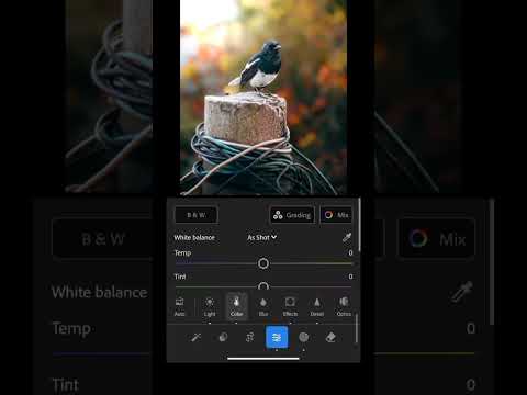 Guess my camera 😬