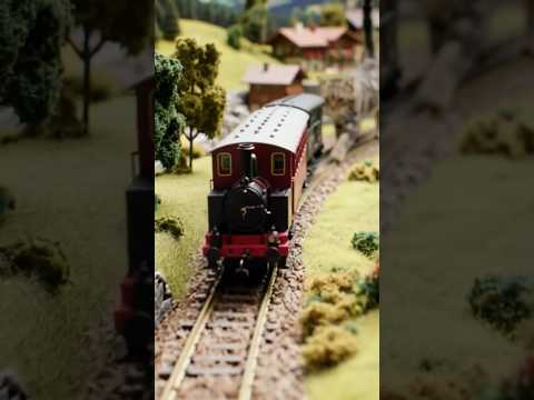 A tiny train adventure through the European hills 🚂🌄 #trending #trains #fypシ゚viral