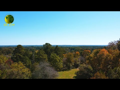 A Drone's Day Out In Fall - 4K Zen