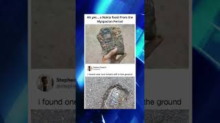 Programming memes, only humor #jokes #fy #fyp #soft #software #code #it #technology #git