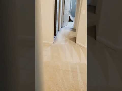 Boss Carpet Cleaning LLC          #DMV #satisfying #blackownedbusiness