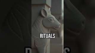 Göbekli Tepe's Ancient Secrets
