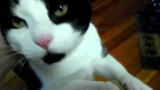 Graham and Dodd Sunday morning