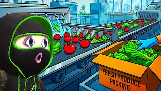 I Ran My Own Food Processing Factory!