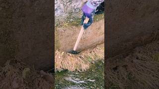 #agritools #farmer life #tonglufeng #agriculture #agritool #youtubeshorts #viral