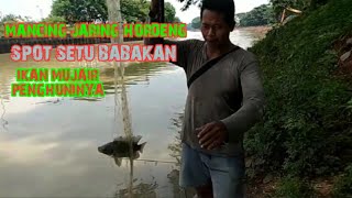 Mancing jaring hordeng, spot Setu Babakan, ikan mujair penghuninya