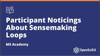Noticing about Sensemaking Loops