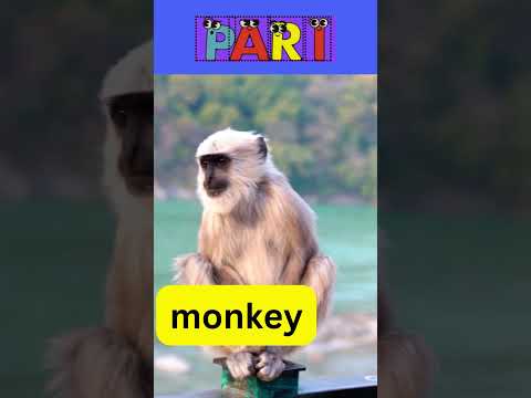 Letter M @paristories21 #Mouse #Music #Magic #Marvelous #Mighty #MusicLovers ##Motivation #monkey