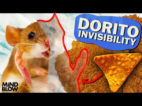 Doritos Invisibility Cloak!? - Mind Blow #135