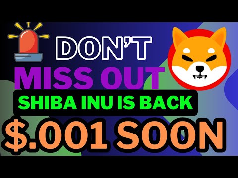 🚨🚨🚀Is Shiba Inu About to Explode? Whale Activity Explained🚀🚀