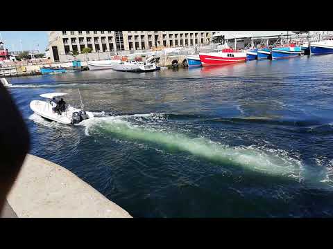Capetown Waterfront