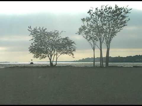 The First Time Ever I Saw Your Face by Celine Dion