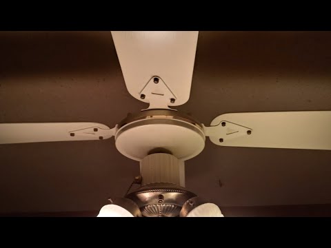 The Best Fan That No One Knows About 