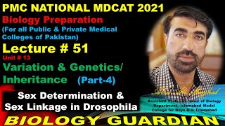 Lecture 51 Biology PMC National MDCAT 2021 Patterns of Sex Determination, Sex Linkage in Drosophila
