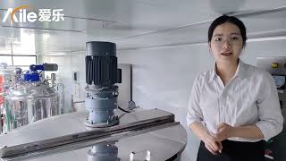 500L 1000l LIQUID DETERGENT TANK PRODUCTION LINE