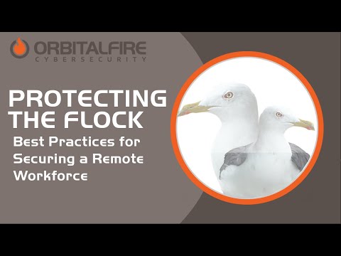 Protecting the Flock: Best Practices For Securing A Remote Workforce