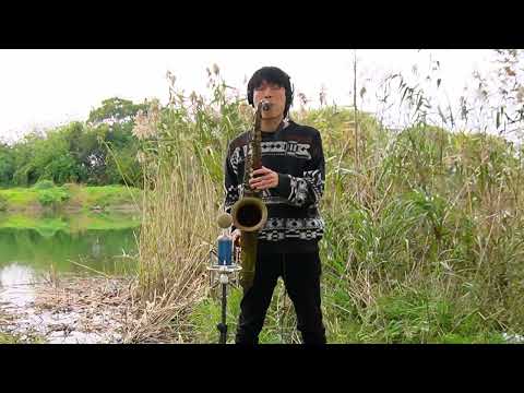 Run For Cover -  Marcus Miller & David Sanborn
