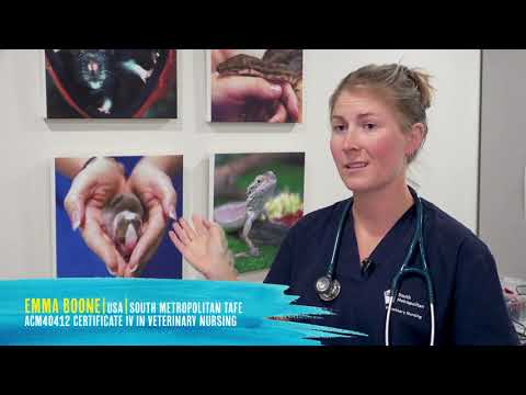 Emma’s story - Study Vet Nursing in Western Australia