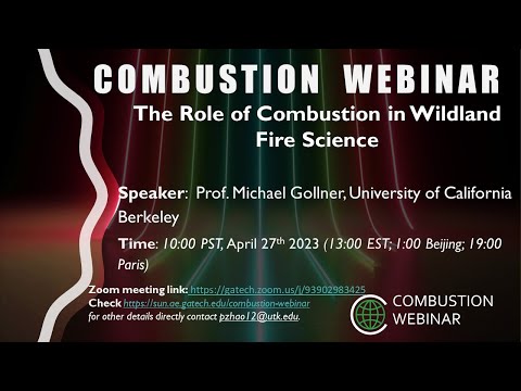 The Role of Combustion in Wildland Fire Science