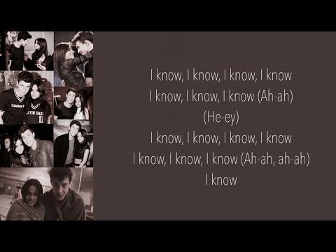 Shawn Mendes & Camila Cabello- I Know What You Did Last Summer (Lyrics)