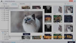 Top 5 Free Photo Recovery Software
