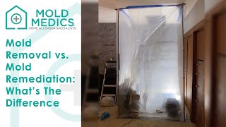 Mold Removal vs. Mold Remediation: What's the Difference?