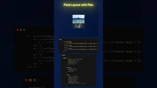 Fluid Flexbox Layout with Full Width Responsive Cards #html #css #js  ✨ #shorts