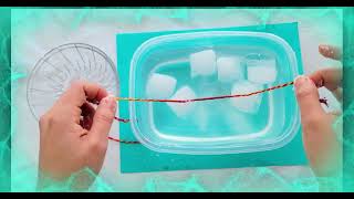 Easy DIY STEM Science Fun | How To Catch Ice Fun Activity | Amazing Ice Fishing