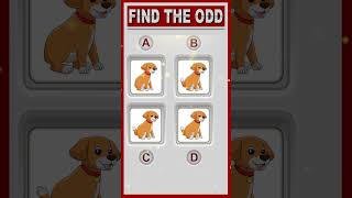 find the different one 115  #quiz #riddlesolvers