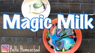 Magic Milk Experiment - Best Kindergarten Milk Experiment - Virtual Learning Kindergarten Science