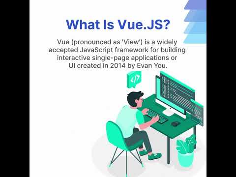 vuejs developer