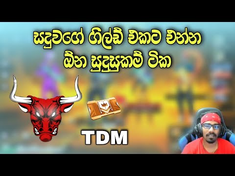සදුවගේ ගිල්ඩ් එකට ඔයාටත් එන්න පුලුවන් 😍🔥🇱🇰 / Saduwa gaming