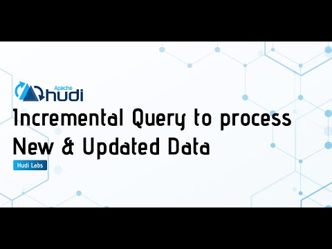 Leverage Apache Hudi incremental query to process new & updated data