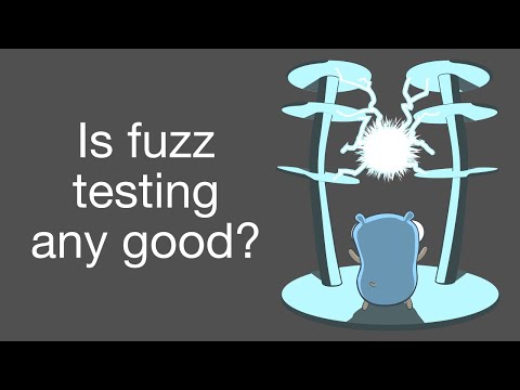 Fuzz testing with Go