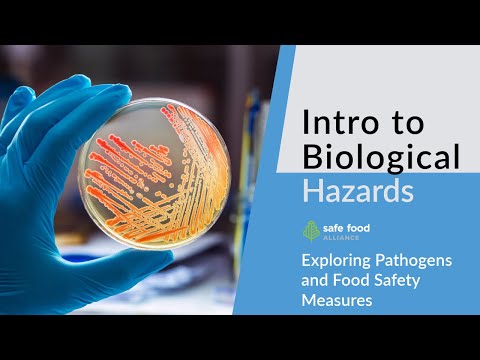 HACCP 101: Exploring Pathogens and Food Safety Measures