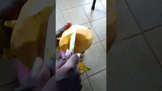 papaya local processing