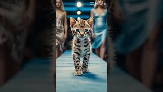 Trending Ai #cutecat #AIInnovation#AIRevolution#AIinAction#AIInsights#AITrends2024#AI#cat