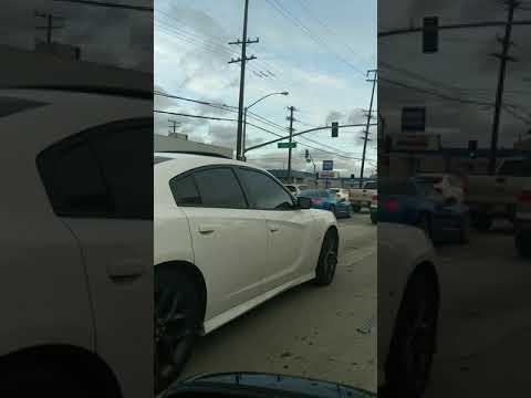 Kids gone wild in streets after lockdown.